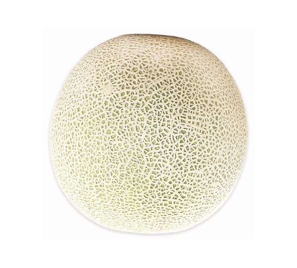 Fresh Produce Melons Each - Gambar 2